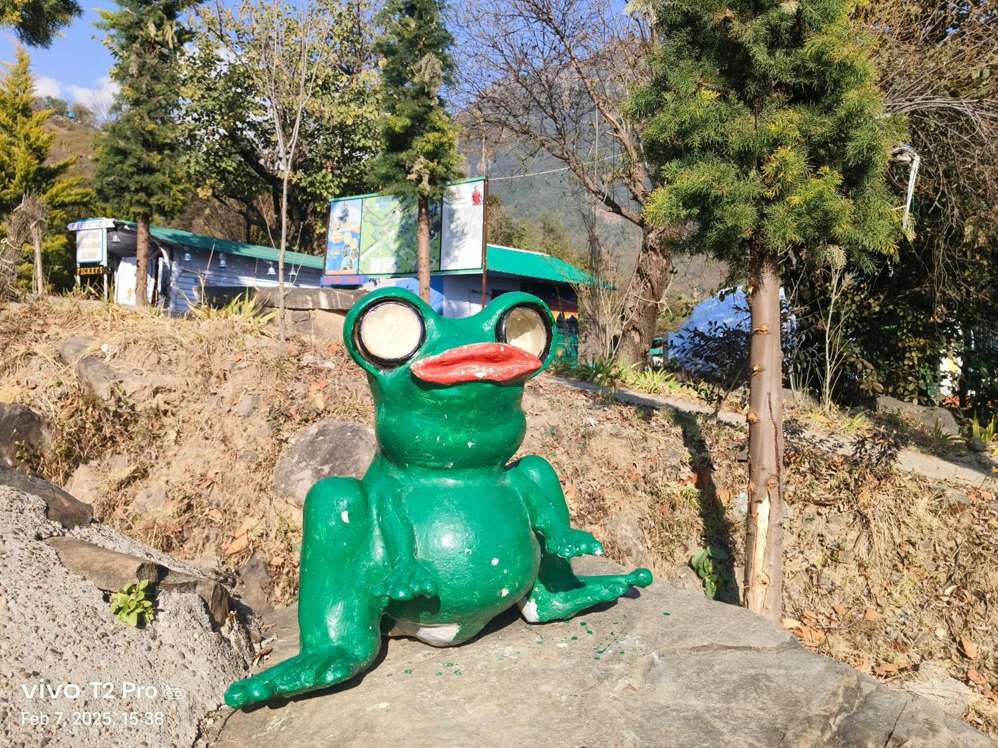 Hill Ventures Adventure Camp And Restaurant 호텔 다람샬라 외부 사진